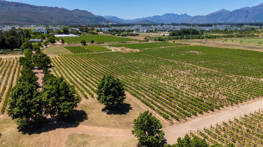 0 Bedroom Property for Sale in Val De Vie Estate Western Cape